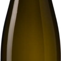 Weingut Jäger 'Ried Achleiten' Smaragd Grüner Veltliner - die Weinbörse
