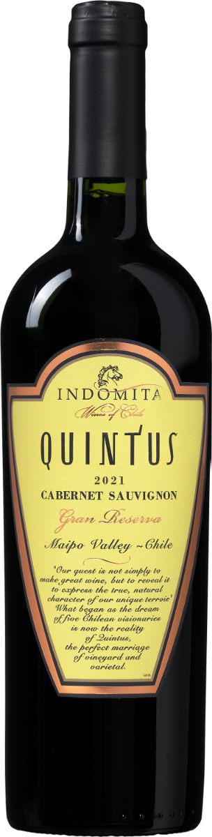 Quintus Gran Reserva Cabernet Sauvignon Maipo Valley - die Weinbörse