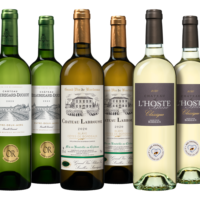Weißwein - Bordeaux Blanc - die Weinbörse