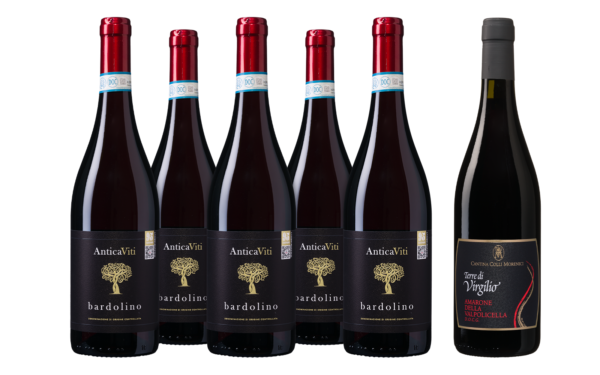 Veneto Bardolino | Amarone Weinpaket - die Weinbörse