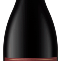 Alto Shiraz 2018