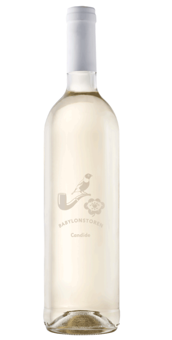 Babylonstoren Candide 2022