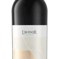 L´Avenir Single Block Pinotage 2019