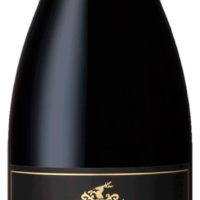 Tokara Reserve Collection Stellenbosch Syrah 2018