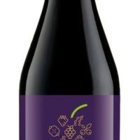 Cantina Settecani Lambrusco Grasparossa di Castelvetro Secco DOP