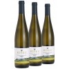 Rinke 2020 Wiltinger Klosterberg Saar Riesling Alte Reben Paket