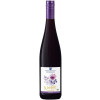 Winzerverein Deidesheim 2020 B I O - WeinRot Rotwein feinherb