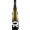 Bietighöfer 2021 Riesling Gutswein trocken