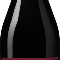 Fratelli A&R Piemonte Barbera DOC Appassimento - die Weinbörse