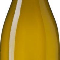 Weingut Büchin Sauvignon Blanc - die Weinbörse