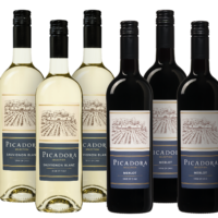 Weinpaket Picadora Sauvignon Blanc & Merlot - die Weinbörse