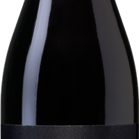 Antica Viti Valpolicella DOC Ripasso - die Weinbörse