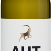 AUT von Waldschütz Grüner Veltliner Eiswein (0,375L) - die Weinbörse