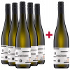 Andres am Lilienthal 2021 5+1 Paket Gewürztraminer trocken