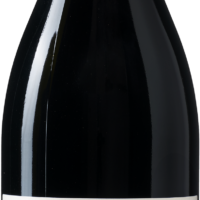 Willow Bridge Dragon Fly Estate Shiraz - die Weinbörse
