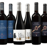 Passioniertes Spanien Paket - die Weinbörse