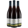 Rinke 2019 Rinke "VOM SCHIEFER" Pinot Noir Réserve Paket
