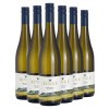 Rinke 2019 Wild auf Schiefer Saar-Riesling Kabinett-Paket