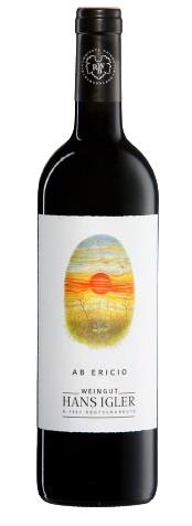 2008 AB Ericio