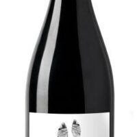 2023 Passo Per Passo Primitivo