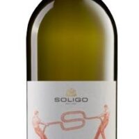 2023 Pinot Grigio 1,0 Liter