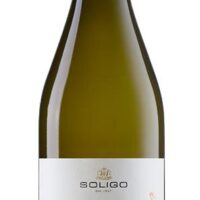 2023 Pinot Grigio