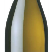 2023 Charme de Loire Sauvignon Blanc