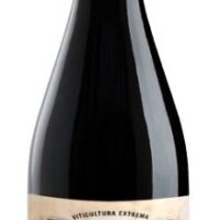2018 Marco Valerio Marcial DOP Calatayud