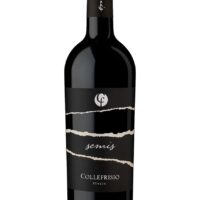 2016 Semis Montepulciano d'Abruzzo