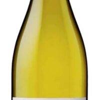 2023 Côtes de Gascogne blanc "Signature"
