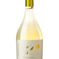 2023 Magnolia Bianco