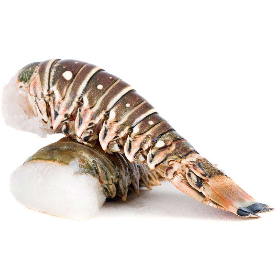 Langusten Schwanz, roh, 300-900 g